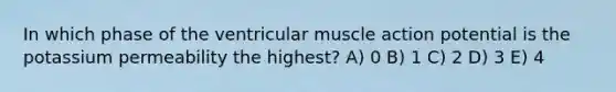 In which phase of the ventricular muscle action potential is the potassium permeability the highest? A) 0 B) 1 C) 2 D) 3 E) 4