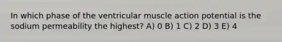 In which phase of the ventricular muscle action potential is the sodium permeability the highest? A) 0 B) 1 C) 2 D) 3 E) 4