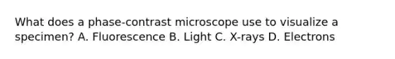 What does a phase-contrast microscope use to visualize a specimen? A. Fluorescence B. Light C. X-rays D. Electrons