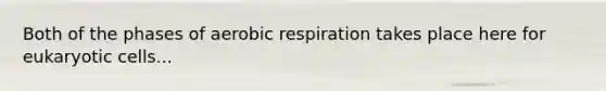 Both of the phases of aerobic respiration takes place here for eukaryotic cells...