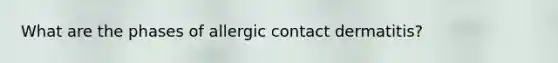 What are the phases of allergic contact dermatitis?