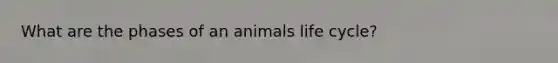 What are the phases of an animals life cycle?