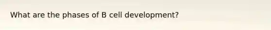 What are the phases of B cell development?