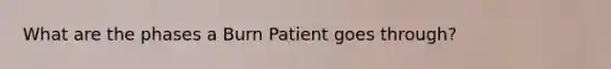 What are the phases a Burn Patient goes through?