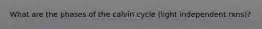 What are the phases of the calvin cycle (light independent rxns)?