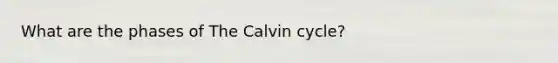 What are the phases of The Calvin cycle?