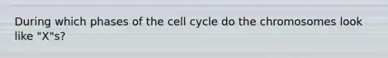 During which phases of the cell cycle do the chromosomes look like "X"s?