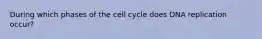 During which phases of the cell cycle does DNA replication occur?