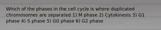 Which of the phases in the <a href='https://www.questionai.com/knowledge/keQNMM7c75-cell-cycle' class='anchor-knowledge'>cell cycle</a> is where duplicated chromosomes are separated 1) M phase 2) Cytokinesis 3) G1 phase 4) S phase 5) G0 phase 6) G2 phase