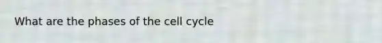 What are the phases of the <a href='https://www.questionai.com/knowledge/keQNMM7c75-cell-cycle' class='anchor-knowledge'>cell cycle</a>