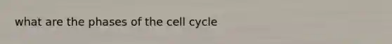 what are the phases of the <a href='https://www.questionai.com/knowledge/keQNMM7c75-cell-cycle' class='anchor-knowledge'>cell cycle</a>