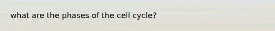 what are the phases of the cell cycle?