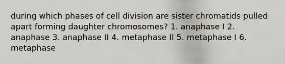 during which phases of cell division are sister chromatids pulled apart forming daughter chromosomes? 1. anaphase I 2. anaphase 3. anaphase II 4. metaphase II 5. metaphase I 6. metaphase