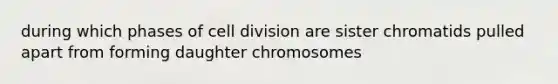 during which phases of cell division are sister chromatids pulled apart from forming daughter chromosomes