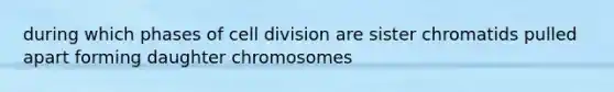 during which phases of cell division are sister chromatids pulled apart forming daughter chromosomes