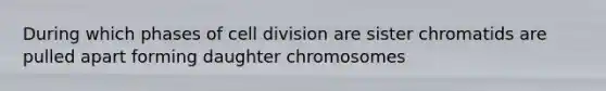 During which phases of cell division are sister chromatids are pulled apart forming daughter chromosomes