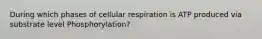 During which phases of cellular respiration is ATP produced via substrate level Phosphorylation?