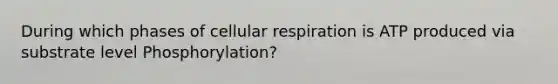 During which phases of cellular respiration is ATP produced via substrate level Phosphorylation?