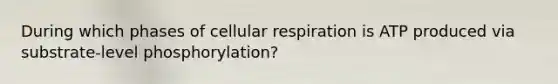 During which phases of cellular respiration is ATP produced via substrate-level phosphorylation?