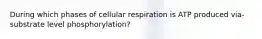 During which phases of cellular respiration is ATP produced via-substrate level phosphorylation?