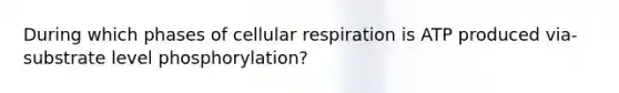 During which phases of cellular respiration is ATP produced via-substrate level phosphorylation?