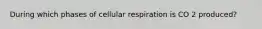 During which phases of cellular respiration is CO 2 produced?