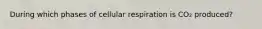During which phases of cellular respiration is CO₂ produced?