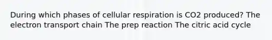 During which phases of <a href='https://www.questionai.com/knowledge/k1IqNYBAJw-cellular-respiration' class='anchor-knowledge'>cellular respiration</a> is CO2 produced? <a href='https://www.questionai.com/knowledge/k57oGBr0HP-the-electron-transport-chain' class='anchor-knowledge'>the electron transport chain</a> The prep reaction The citric acid cycle