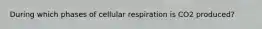 During which phases of cellular respiration is CO2 produced?