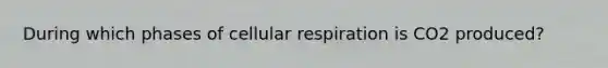 During which phases of <a href='https://www.questionai.com/knowledge/k1IqNYBAJw-cellular-respiration' class='anchor-knowledge'>cellular respiration</a> is CO2 produced?