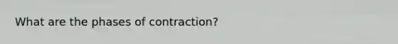 What are the phases of contraction?