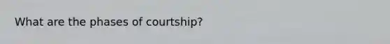 What are the phases of courtship?