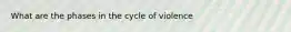 What are the phases in the cycle of violence