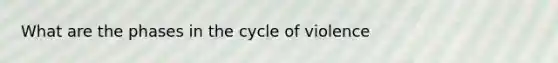 What are the phases in the cycle of violence