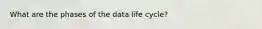 What are the phases of the data life cycle?