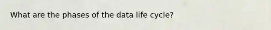 What are the phases of the data life cycle?