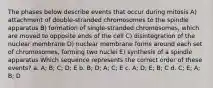 The phases below describe events that occur during mitosis A) attachment of double-stranded chromosomes to the spindle apparatus B) formation of single-stranded chromosomes, which are moved to opposite ends of the cell C) disintegration of the nuclear membrane D) nuclear membrane forms around each set of chromosomes, forming two nuclei E) synthesis of a spindle apparatus Which sequence represents the correct order of these events? a. A; B; C; D; E b. B; D; A; C; E c. A; D; E; B; C d. C; E; A; B; D