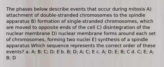 The phases below describe events that occur during mitosis A) attachment of double-stranded chromosomes to the spindle apparatus B) formation of single-stranded chromosomes, which are moved to opposite ends of the cell C) disintegration of the nuclear membrane D) nuclear membrane forms around each set of chromosomes, forming two nuclei E) synthesis of a spindle apparatus Which sequence represents the correct order of these events? a. A; B; C; D; E b. B; D; A; C; E c. A; D; E; B; C d. C; E; A; B; D