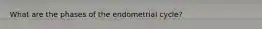 What are the phases of the endometrial cycle?