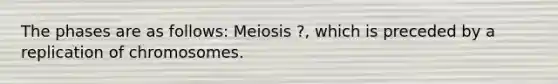 The phases are as follows: Meiosis ?, which is preceded by a replication of chromosomes.