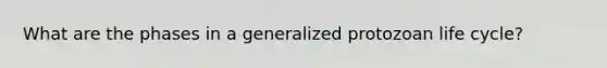 What are the phases in a generalized protozoan life cycle?