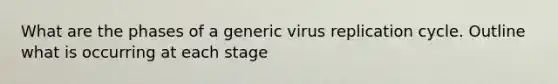 What are the phases of a generic virus replication cycle. Outline what is occurring at each stage