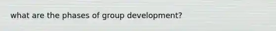 what are the phases of group development?