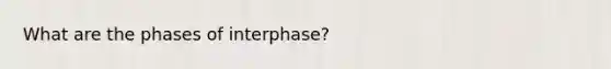 What are the phases of interphase?