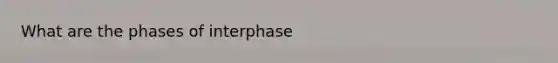 What are the phases of interphase