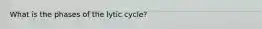 What is the phases of the lytic cycle?