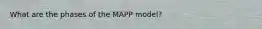 What are the phases of the MAPP model?