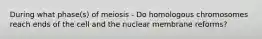 During what phase(s) of meiosis - Do homologous chromosomes reach ends of the cell and the nuclear membrane reforms?