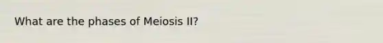 What are the phases of Meiosis II?