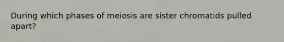 During which phases of meiosis are sister chromatids pulled apart?